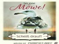 Schei� drauf