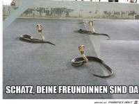 Deine Freundinnen sind da