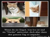 Du wei�t was Sache ist