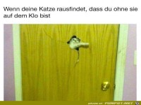 Erwischt