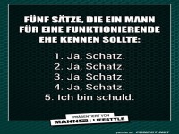 5 Saetze