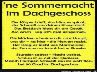 Sommernacht im Dachgescho�