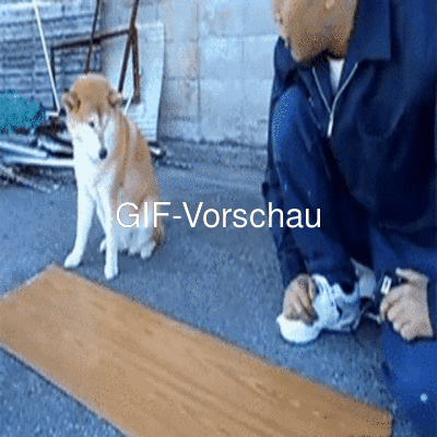 Hund-ist-fleißiger-Helfer.gif von Henry