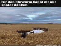F�r den Ohrwurm k�nnt ihr mir sp�ter danken