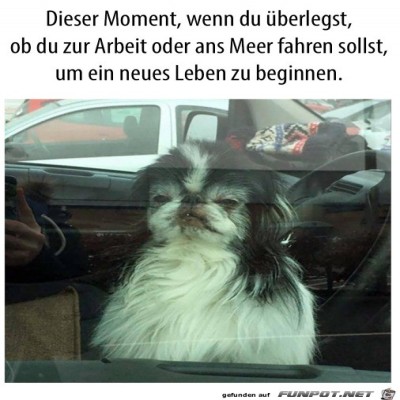 Zur-Arbeit-oder-ans-Meer?.jpg von Luis
