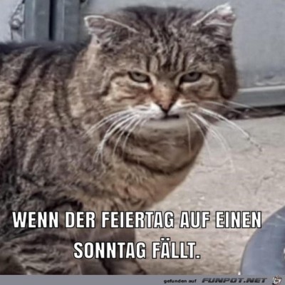 Feiertag-am-Sonntag.jpg von Leya