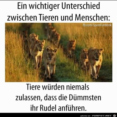 Unterschied.jpg von Keule56