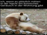 Komisches Ger�usch geh�rt
