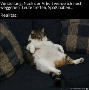 Vorstellung-vs.-Realitt.jpg auf www.funpot.net