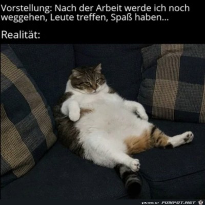 Vorstellung-vs.-Realität.jpg von Lillian