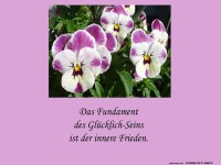 Das Fundament des Glcklichseins