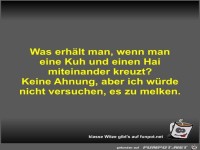 Was erhält man, wenn man eine Kuh und einen Hai miteinander