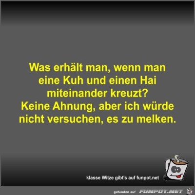 Was-erhält-man,-wenn-man-eine-Kuh-und-einen-Hai-miteinander.jpg von Fossy