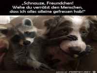 Halt blo� den Mund