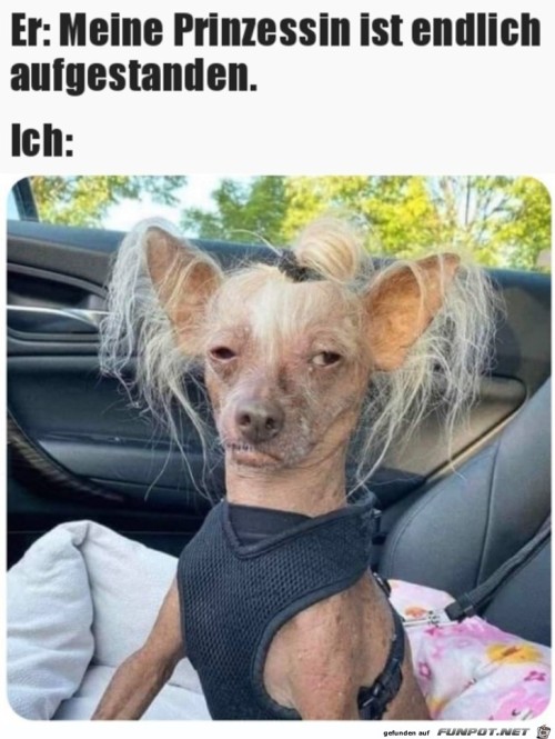 Was-für-eine-Prinzessin.jpg auf www.funpot.net