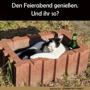 fun-Bild: Feierabend genießen