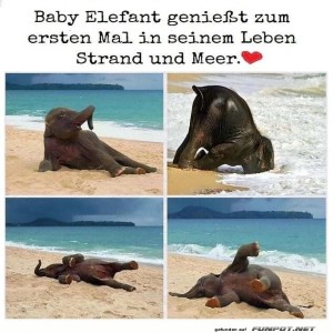 herz-Bild: Der Strand ist toll