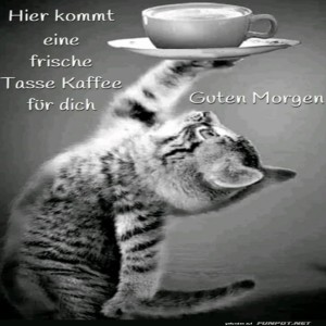 Begrüßungsbild