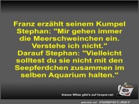 Franz erz�hlt seinem Kumpel Stephan