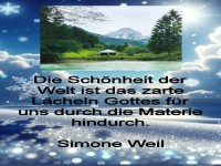 die schönheit der welt ist das