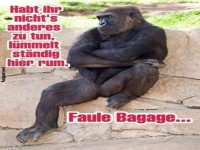 Gorilla mit sarkastischem Kommentar