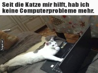 Katze als Computerhilfe