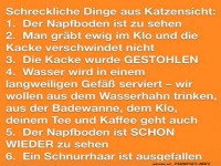 Katzenprobleme: Humorvoll und treffend