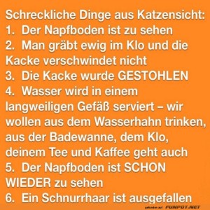 Katzenprobleme:-Humorvoll-und-treffend.jpg von Celina93