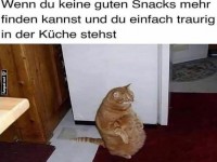 Katzensnackkrise
