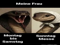 Die Verwandlung der Woche