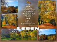 Buntes Blttermeer der Lebensweisheit