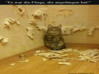 Kunstvolle Katzen-Kratz-Aktionen