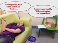 Katzen-Therapie f�r Langeweile