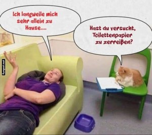 fun-Bild: Katzen-Therapie f&uuml;r Langeweile