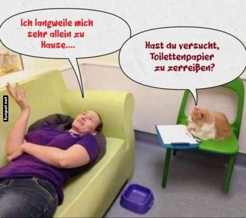 Katzen-Therapie-f�r-Langeweile.jpg auf www.funpot.net
