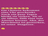 Zeitstillstand und Ameisenprofis