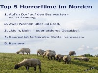 Gruselige Landtr�ume: Schafe und Schocker!
