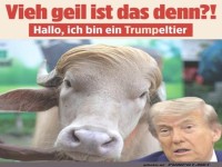 M����h, das Trumpeltier ist da!
