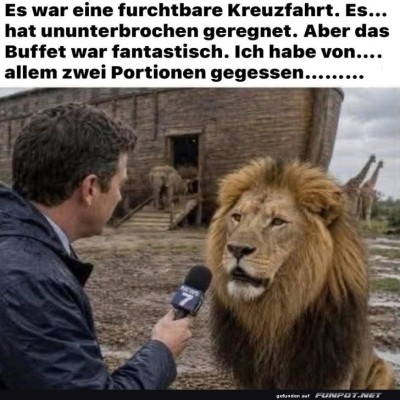 Löweninterview:-Kreuzfahrt-oder-Safari?.jpg von Felia-51