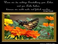 Die richtige Einstellung