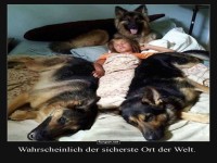Schlummernde Sicherheitskräfte