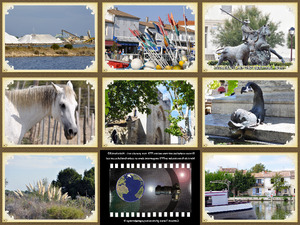 klicke hier, um die Datei herunterzuladen Camargue