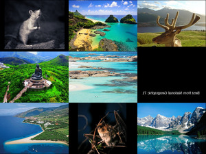 klicke hier, um die Datei herunterzuladen Best from National Geographic 71