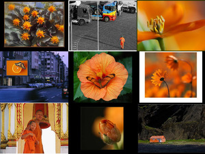 klicke hier, um die Datei herunterzuladen Orange 40