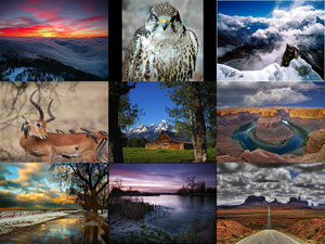 klicke hier, um die Datei herunterzuladen cool pictures - superschöne Aufnahmen aus der Natur