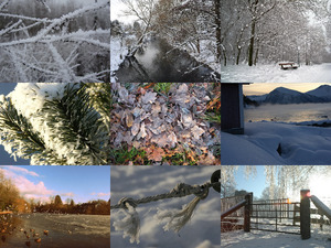 klicke hier, um die Datei herunterzuladen Winter 15