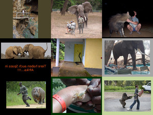 Tierspass mit Menschen in Afrika E