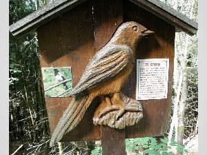 Zillertaler Vogellehrpfad