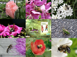 klicke hier, um die Datei herunterzuladen que-c-est-beau-la-nature-charlotte