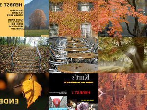 1427 Kurt s Bilderpraesentation Herbst 3